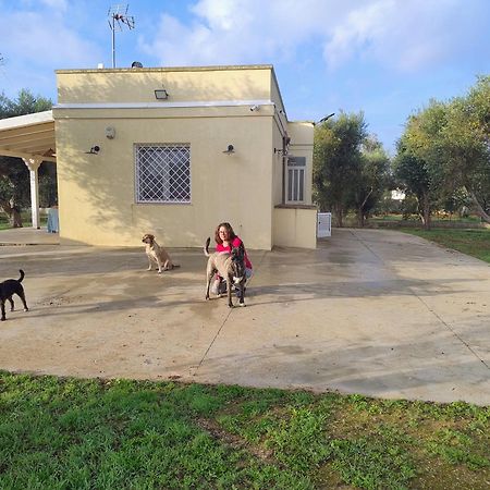 Villa Mios ムーロ・レッチェーゼ エクステリア 写真