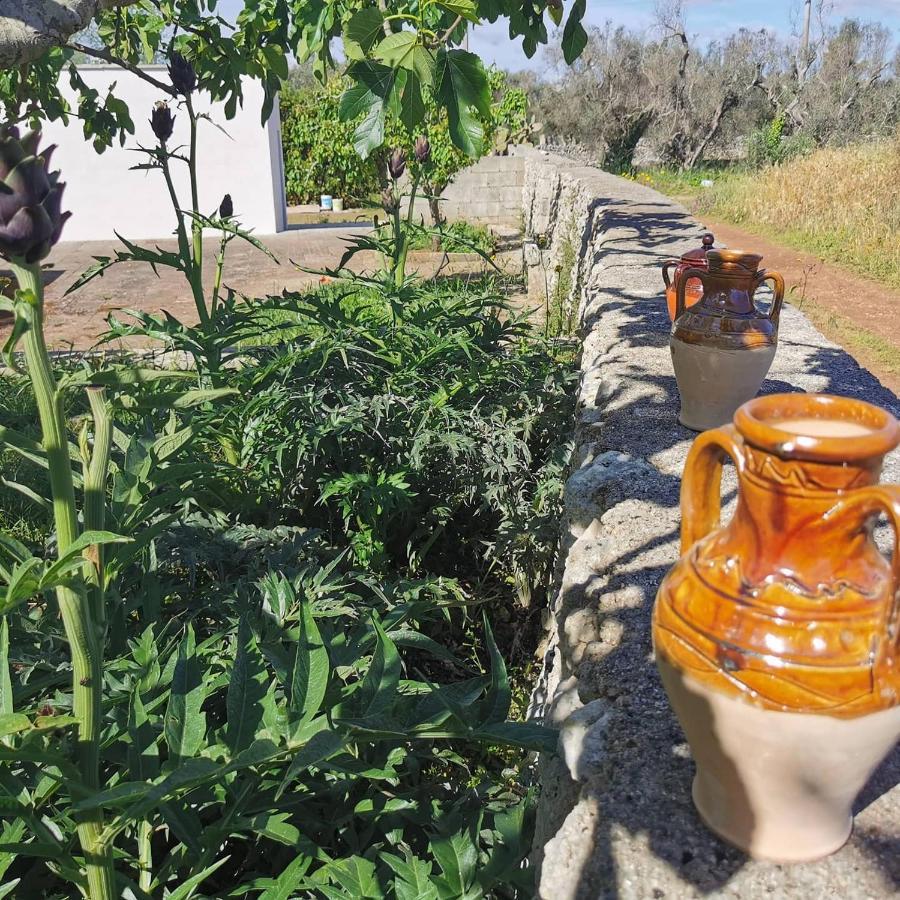 Villa Mios ムーロ・レッチェーゼ エクステリア 写真